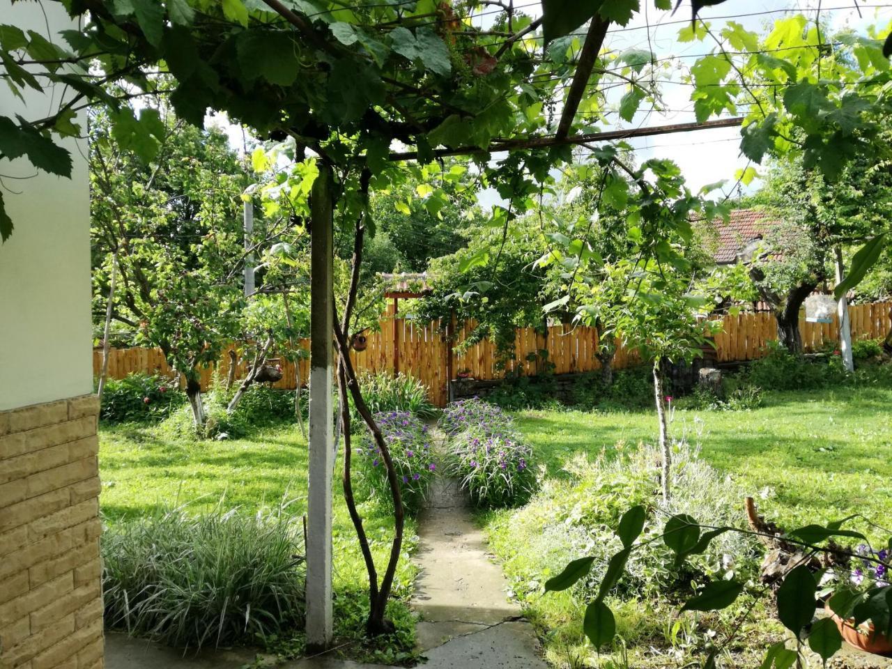 Divna Guest House Krushuna Exterior photo
